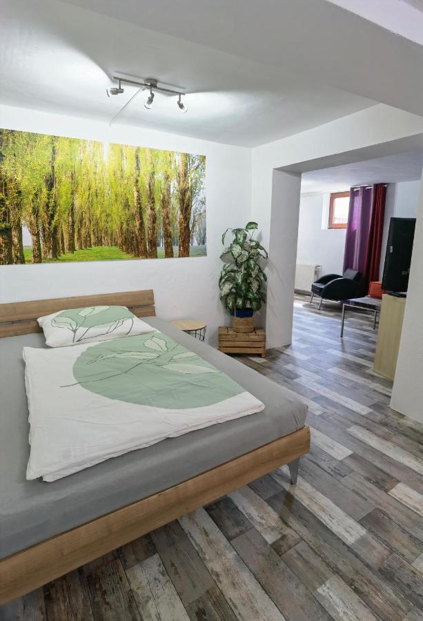 Ferienwohnung - Appartement "Painted Horse" Im Herzen Des Pfaelzer Waldes Reichenbach-Steegen Bagian luar foto