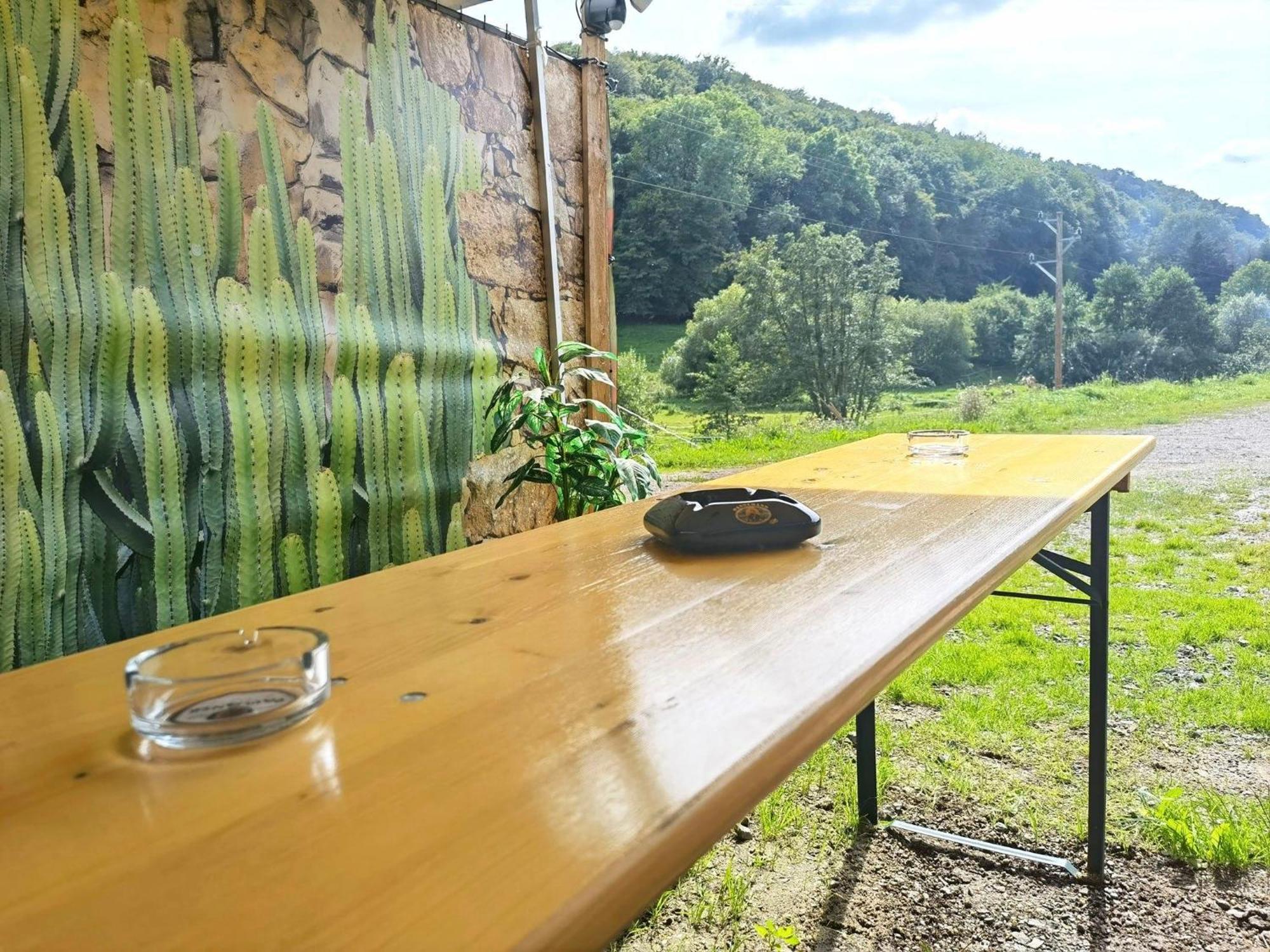 Ferienwohnung - Appartement "Painted Horse" Im Herzen Des Pfaelzer Waldes Reichenbach-Steegen Bagian luar foto