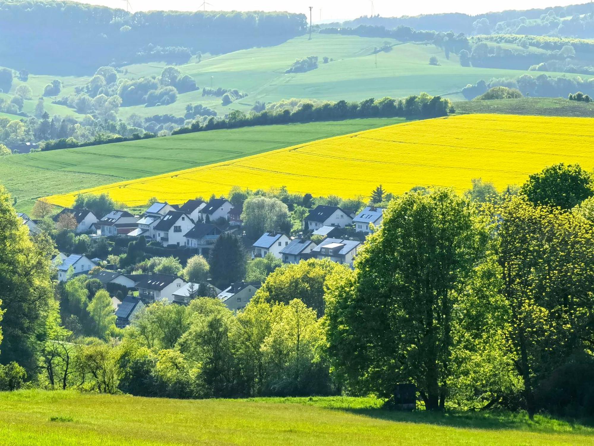 Ferienwohnung - Appartement "Painted Horse" Im Herzen Des Pfaelzer Waldes Reichenbach-Steegen Bagian luar foto