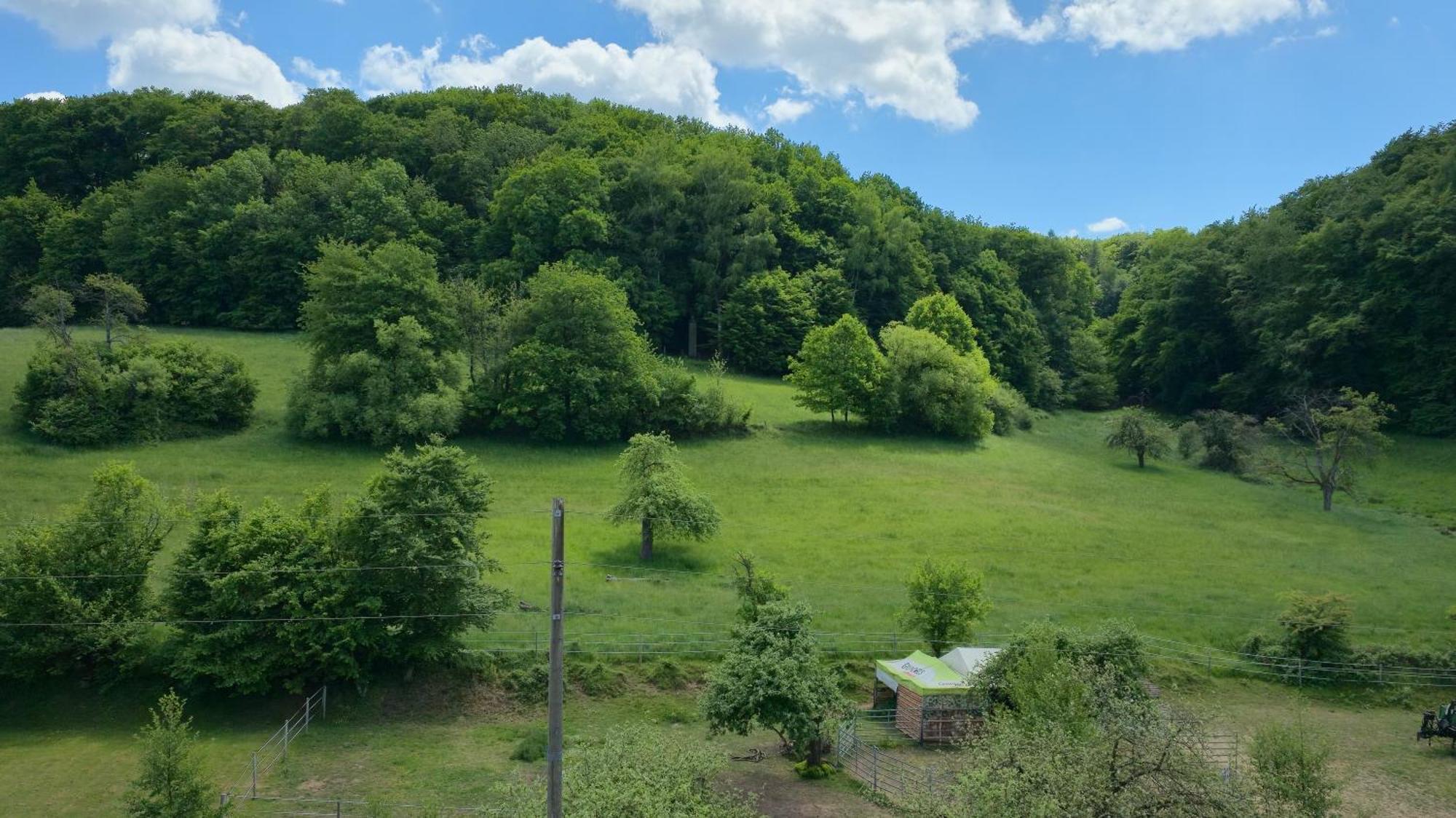 Ferienwohnung - Appartement "Painted Horse" Im Herzen Des Pfaelzer Waldes Reichenbach-Steegen Bagian luar foto